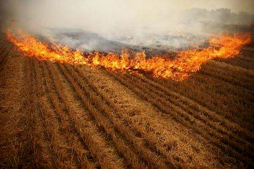 熊良虎赴京考察德国迪芬巴赫公司、ESATPOINT GLOBAL公司生态环保板材装备工艺