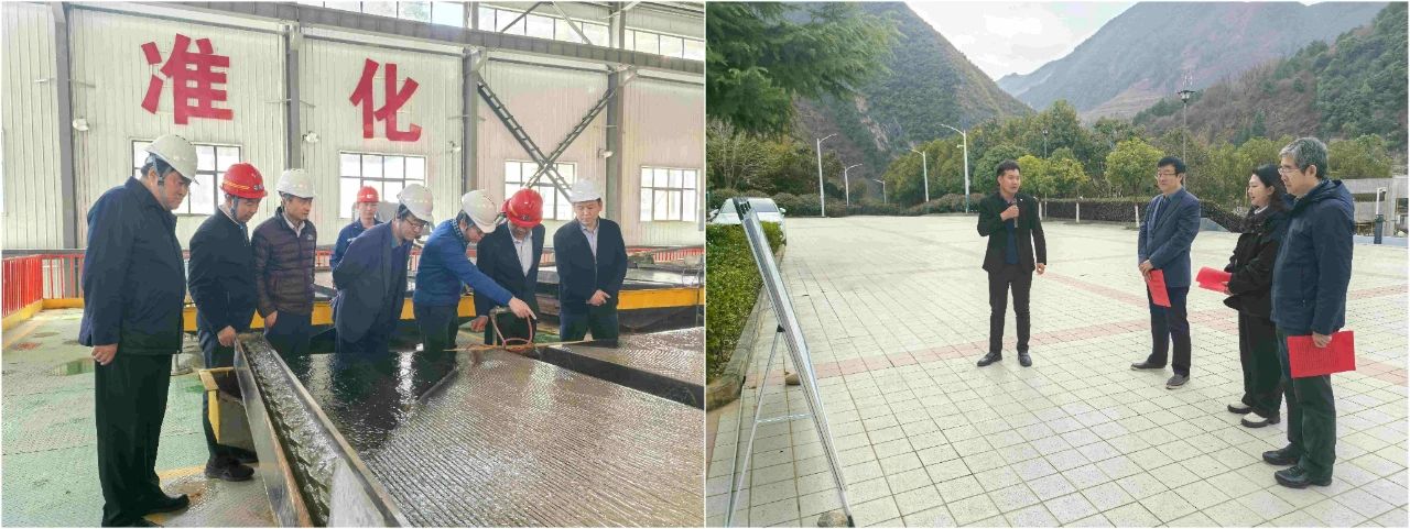 918博天堂集团外部董事赴鼎丰矿业公司、水情形公司镇安污水处理厂调研指导事情