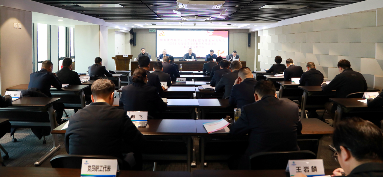 918博天堂集团党委召开2025年度党组织书记抓下层党建事情述职评议审核聚会